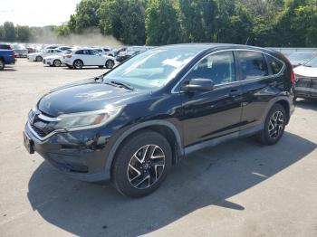  Salvage Honda Crv