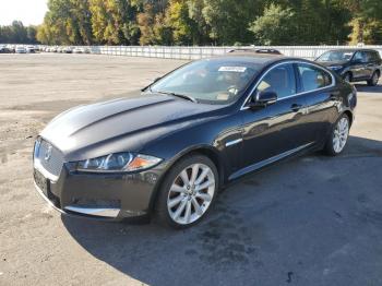  Salvage Jaguar XF