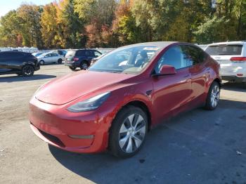  Salvage Tesla Model Y