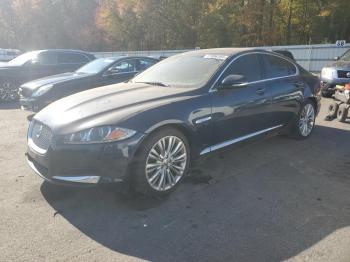  Salvage Jaguar XF