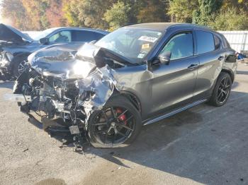  Salvage Alfa Romeo Stelvio