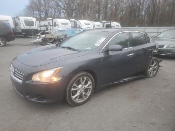  Salvage Nissan Maxima