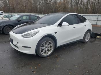  Salvage Tesla Model Y