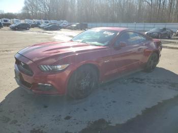  Salvage Ford Mustang