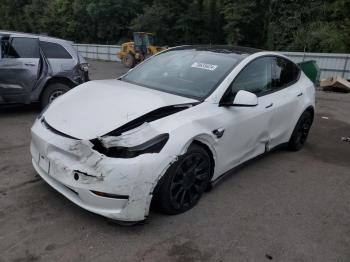  Salvage Tesla Model Y