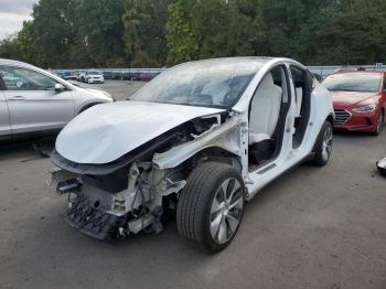  Salvage Tesla Model Y