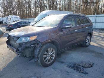  Salvage Kia Sorento