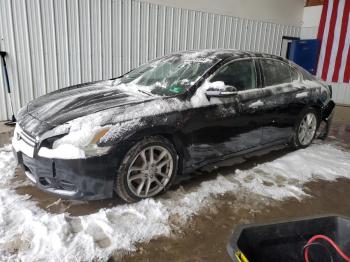  Salvage Nissan Maxima