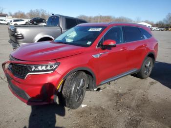  Salvage Kia Sorento