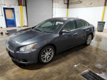  Salvage Nissan Maxima