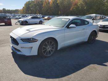  Salvage Ford Mustang