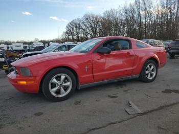  Salvage Ford Mustang