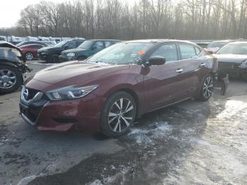  Salvage Nissan Maxima