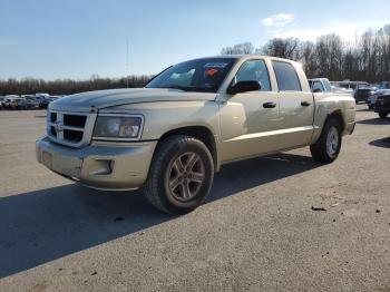  Salvage Dodge Dakota