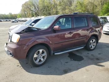  Salvage Honda Pilot