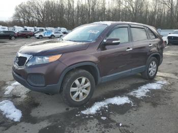  Salvage Kia Sorento
