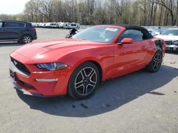  Salvage Ford Mustang