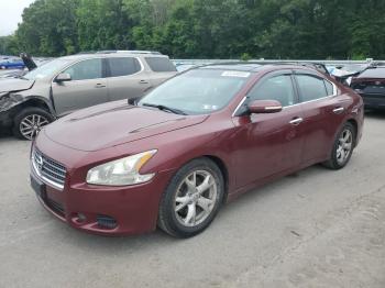  Salvage Nissan Maxima