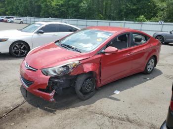  Salvage Hyundai ELANTRA