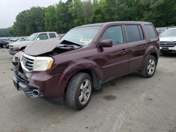  Salvage Honda Pilot
