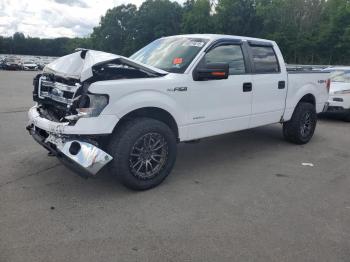  Salvage Ford F-150
