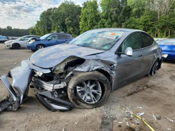  Salvage Tesla Model Y