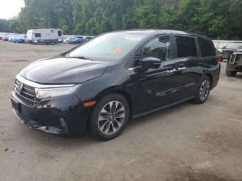 Salvage Honda Odyssey