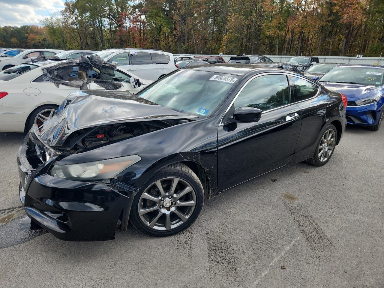 Honda Accord Exl Image 1