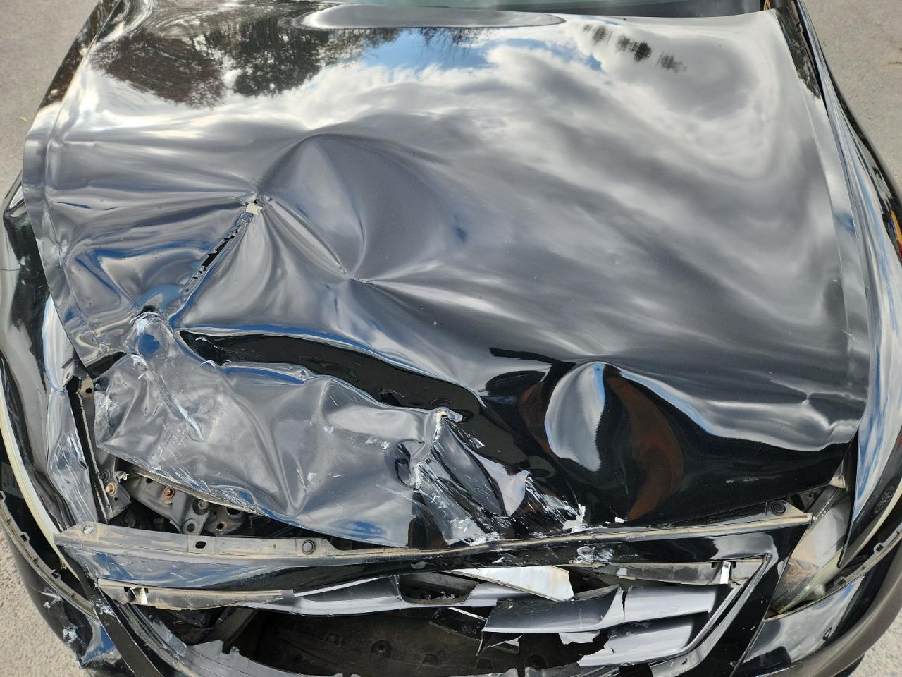 Honda Accord Exl Image 4