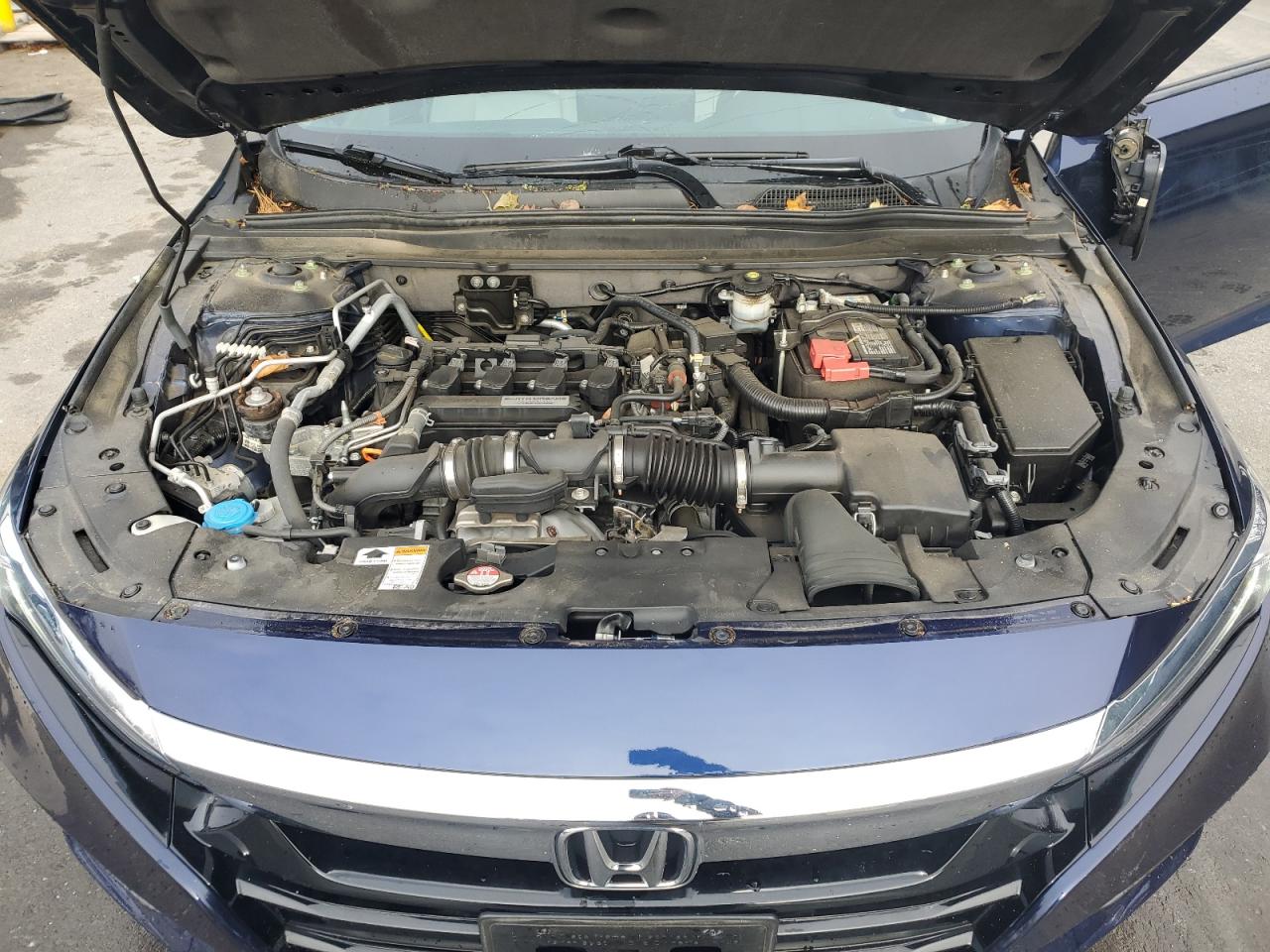 Honda Accord Lx Image 12