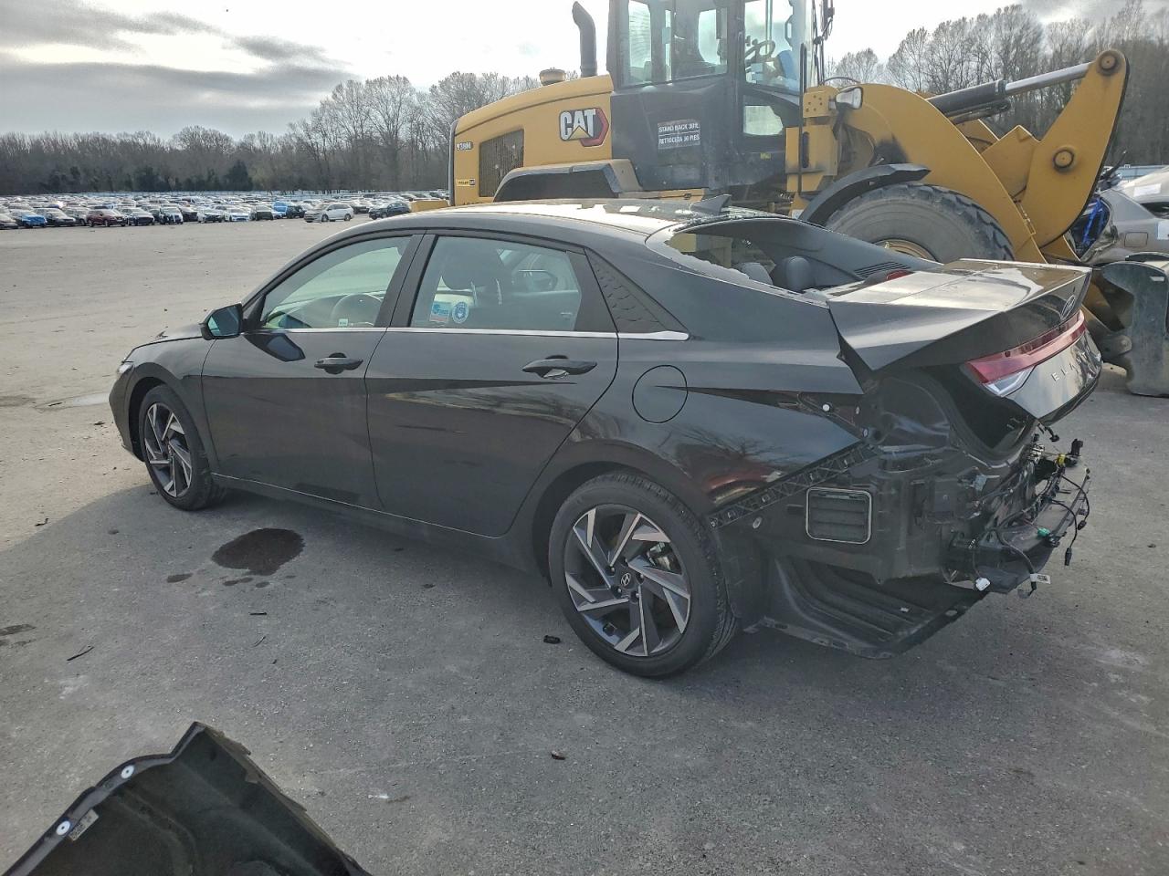 Hyundai ELANTRA Limited Image 3