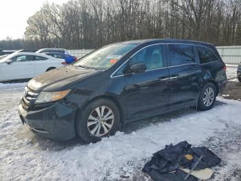  Salvage Honda Odyssey