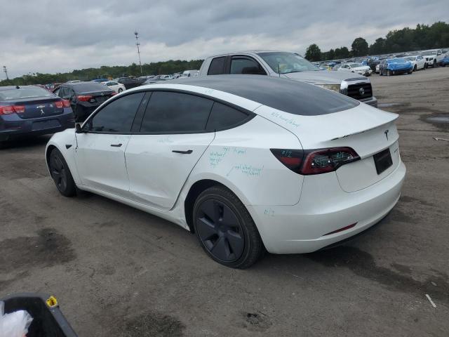 Tesla Model 3 Image 2