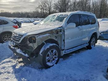  Salvage Lexus Gx