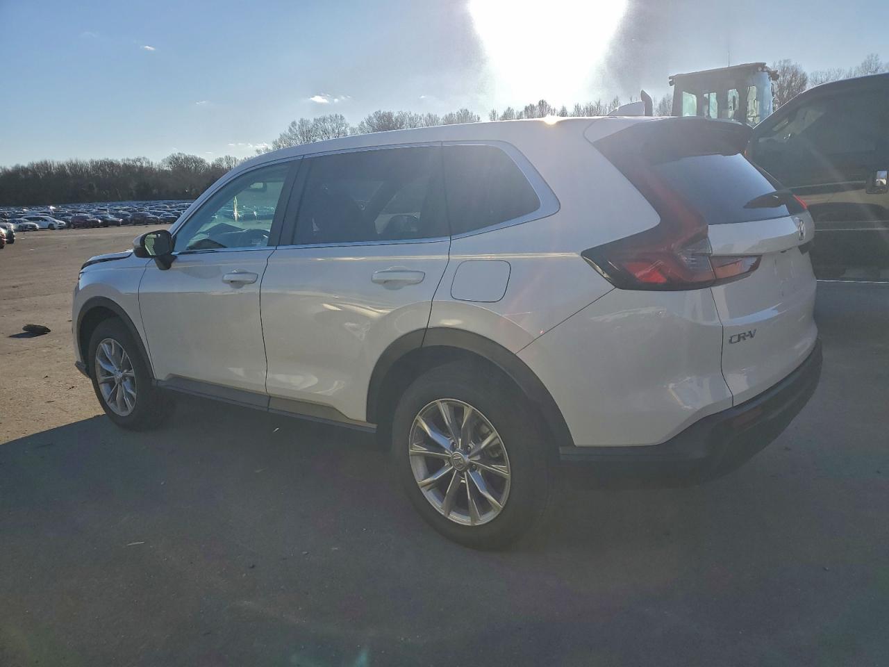 Honda Crv Exl Image 3