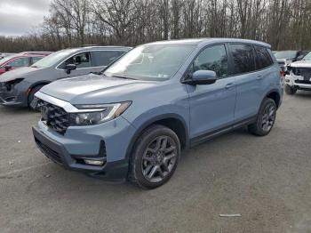  Salvage Honda Passport