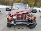 Jeep Wrangler Sahara Image 5