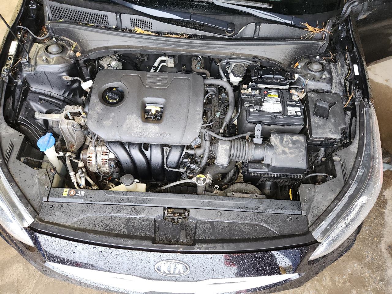 Kia Forte Fe Image 11