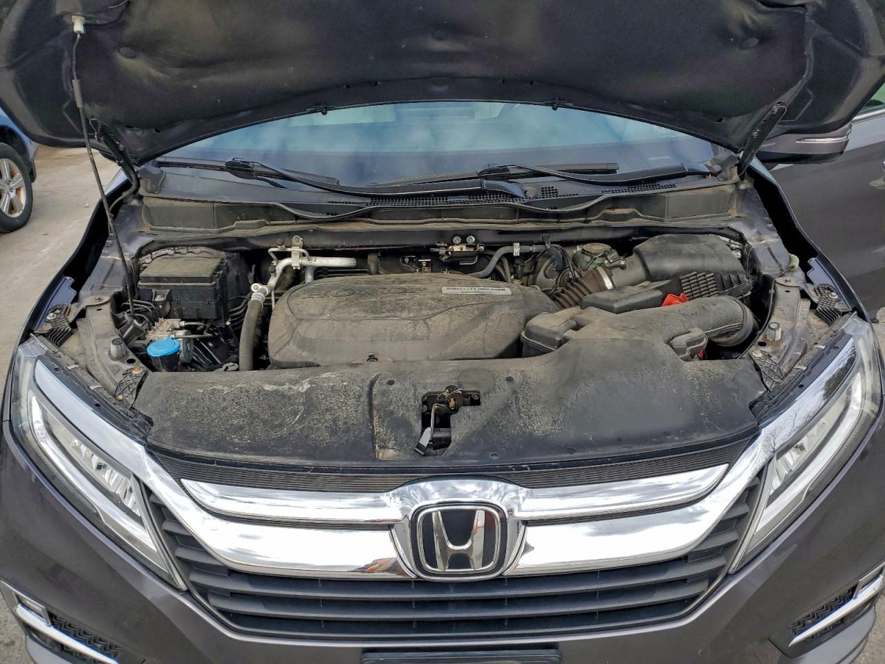 Honda Odyssey Elite Image 5