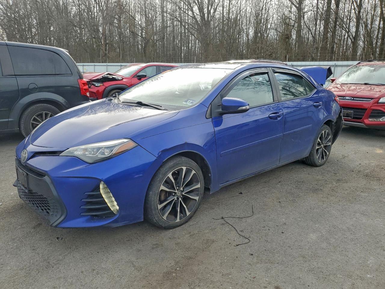 Toyota Corolla L Image 1